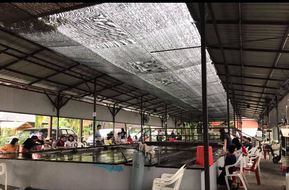 新加坡國民娛樂新玩法,養生釣蝦約不約