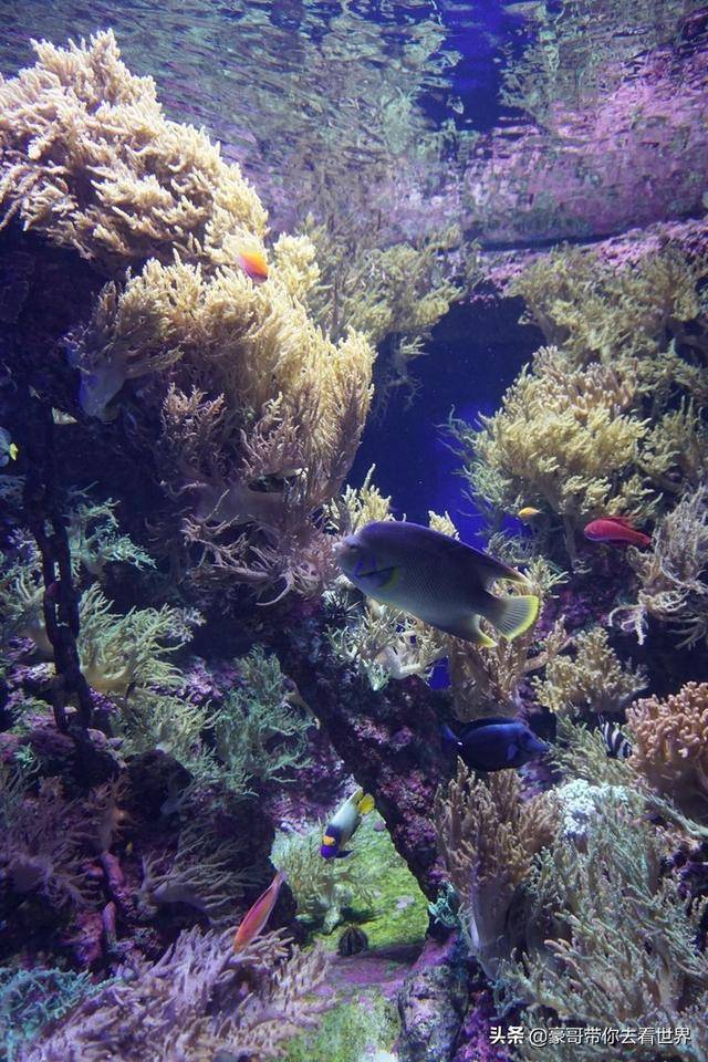 新加坡不枉此行的10大看點（中）分三集介紹