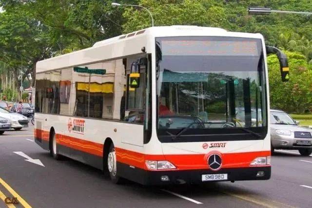 在新加坡國際學校留學，每年需要花多少錢