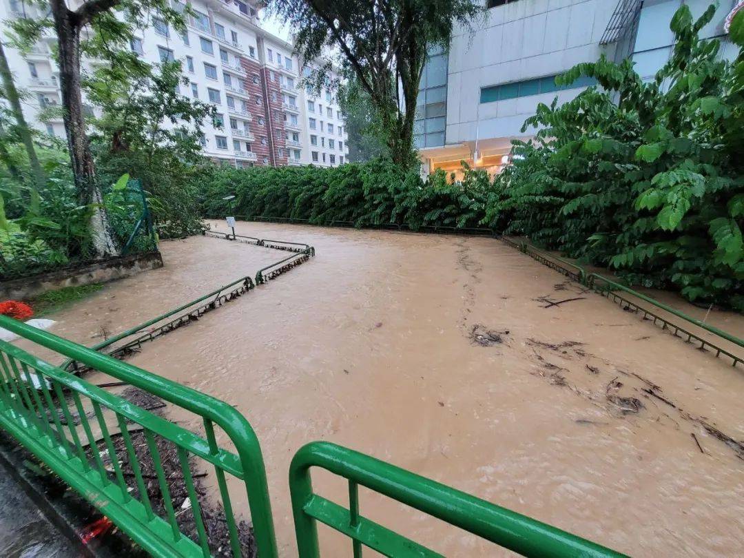 昨天!新加坡遭40年来最强暴雨袭击,全岛多处被洪水淹没,驾车犹如水中行船