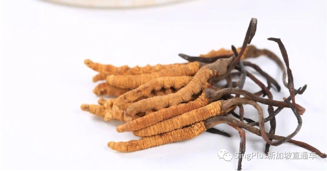 搞“醫鬧”還想全身而退?新加坡可不慣這毛病