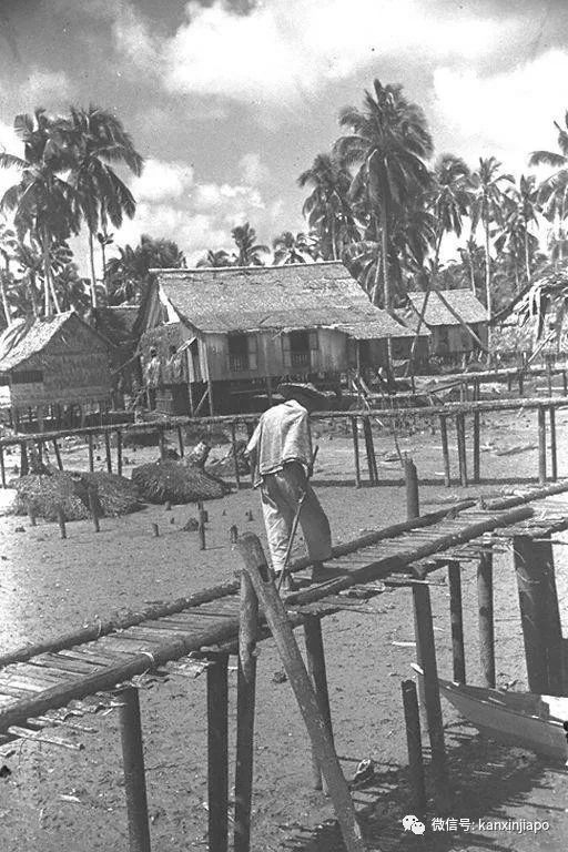 （替换感染群）父亲死后的第一个清明节，这个中学生靠卖鸡饭赚学费