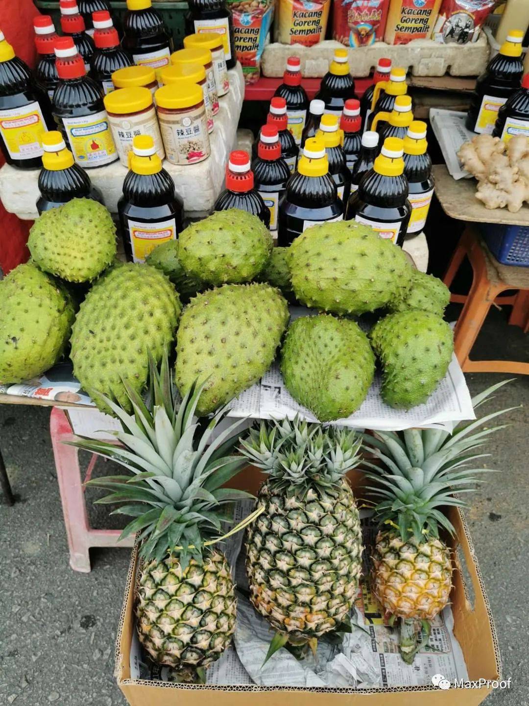 新加坡自由行 獅城人氣景點走起