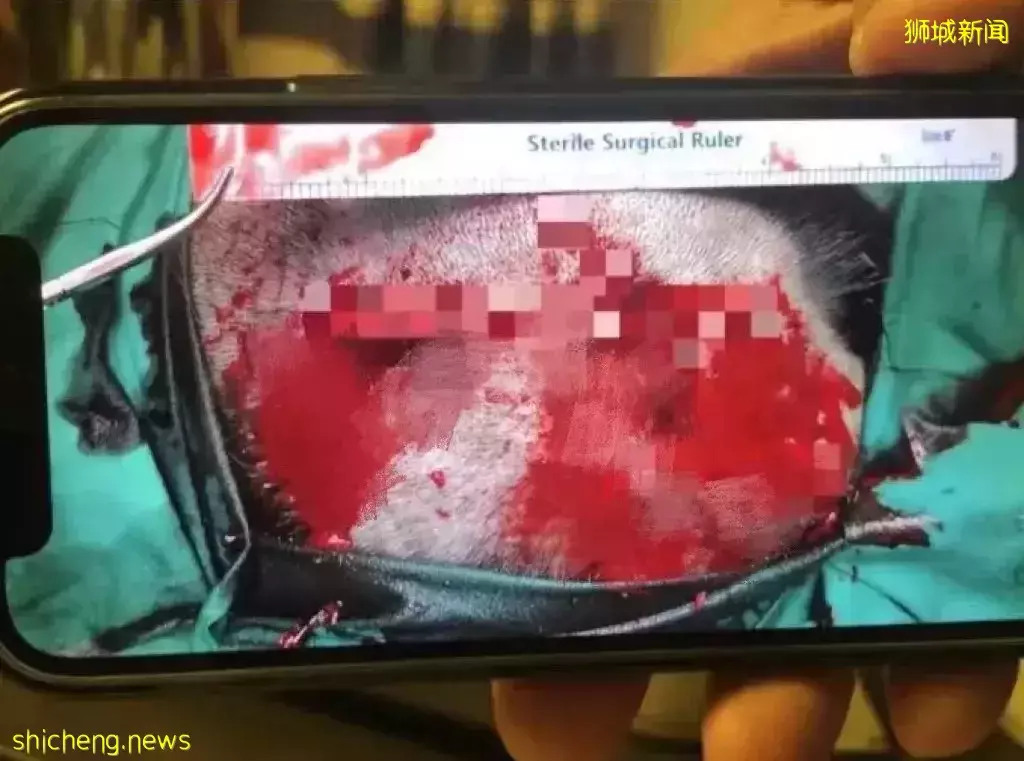 新加坡男子在克拉码头随机被砍!头顶两刀、满身是血,场面骇人