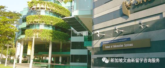 新加坡管理大学简介(下)