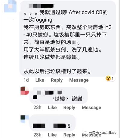 市镇会消毒垃圾槽,住家反被蟑螂大军“入侵”