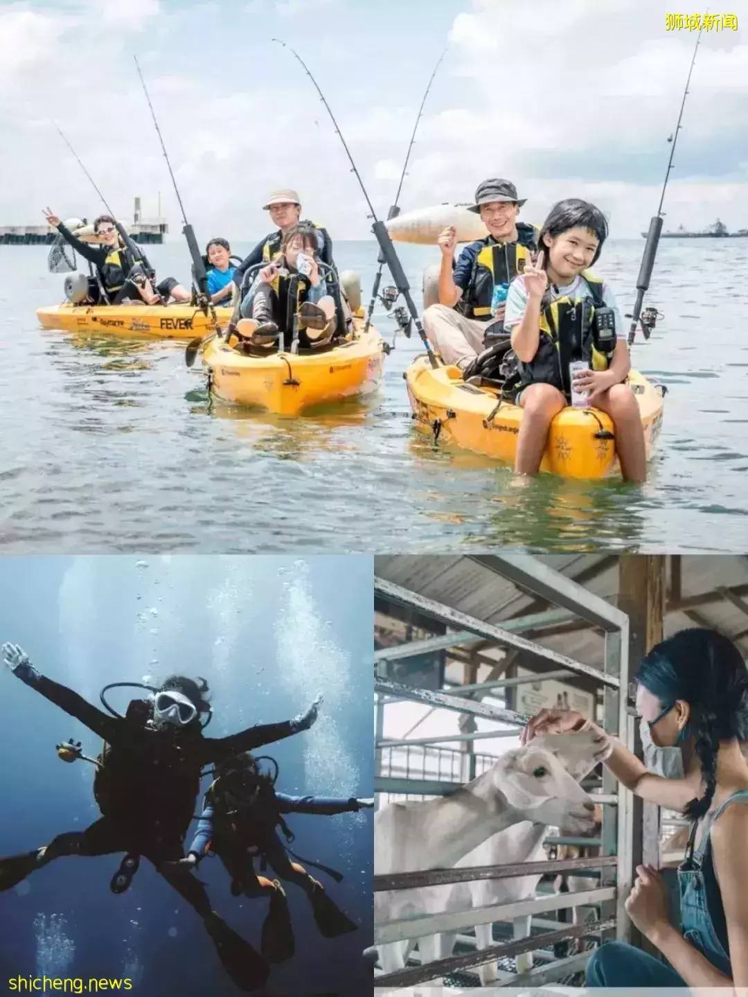 潜水、钓鱼、森林浴……新加坡最有趣的10个户外活动，看到最后一个我心动了
