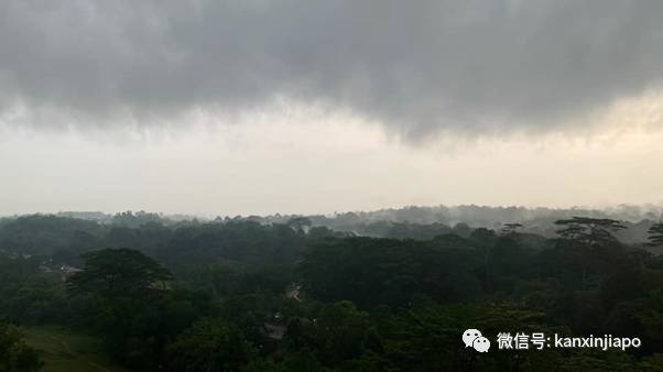 人間仙境!霧氣掩蓋163.63米的武吉知馬山,好夢幻