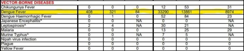 恐怖!新加坡今年登革热死亡人数已经超过新冠