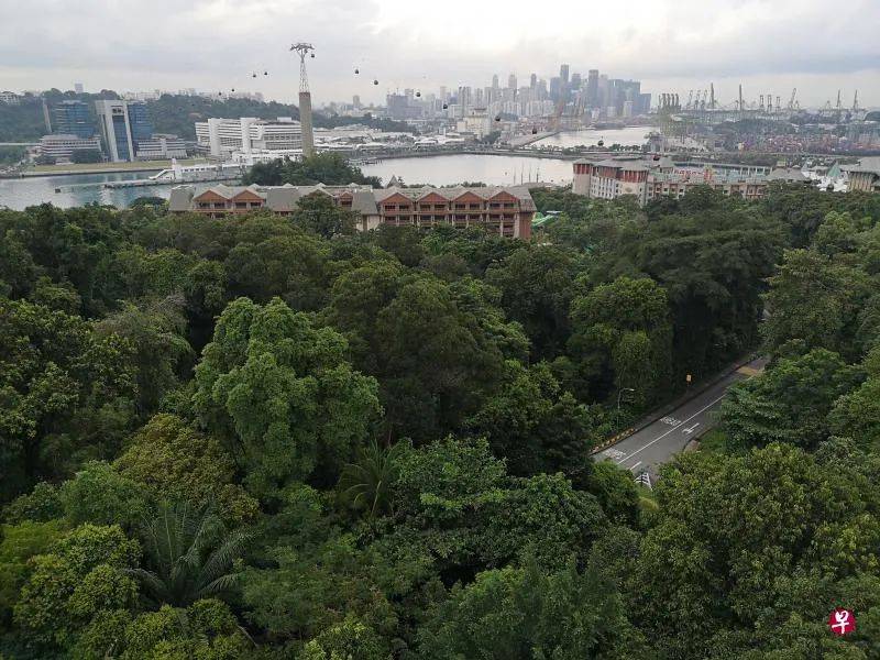 到圣淘沙趴趴走，来个轻松愉快的徒步慢游