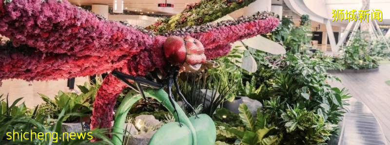 “花園裏的機場”都有哪些花園呢!