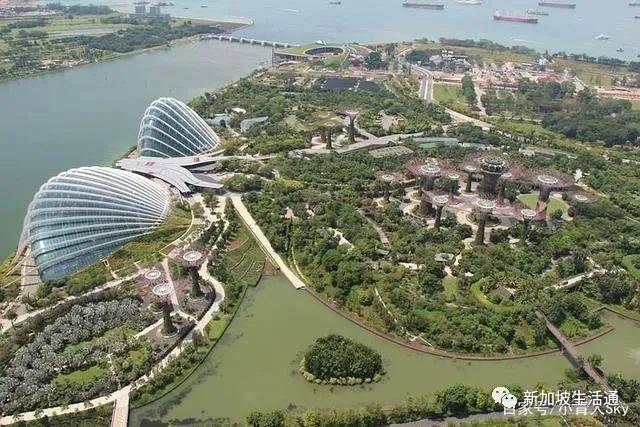 新加坡的生活會給人一種什麽感覺