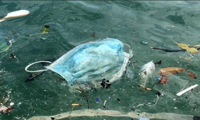 新加坡网友吐槽乱丢口罩,“不知道病毒可以在上面存活7天吗”