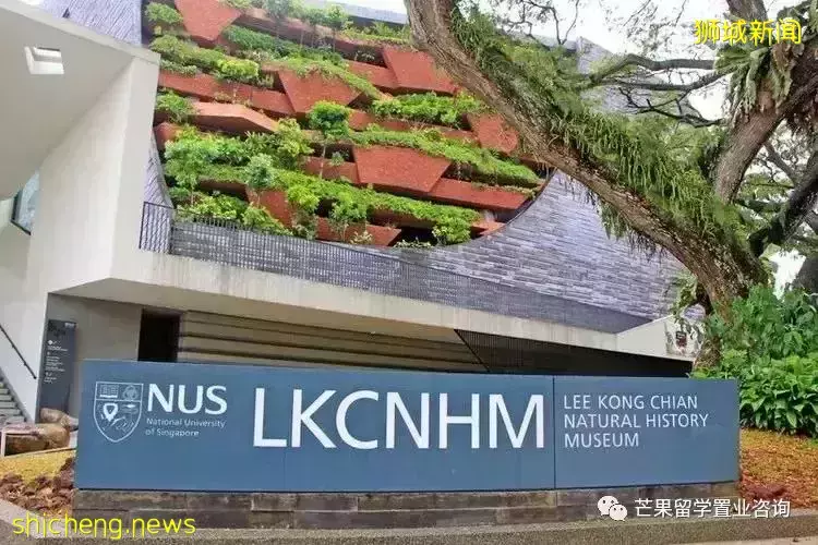 全世界學生擠破頭都想進的“UWC”，到底怎樣才能考入