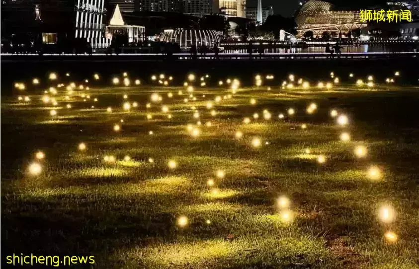 新加坡因疫情停办两年的灯光秀重现，场面疗愈到破防