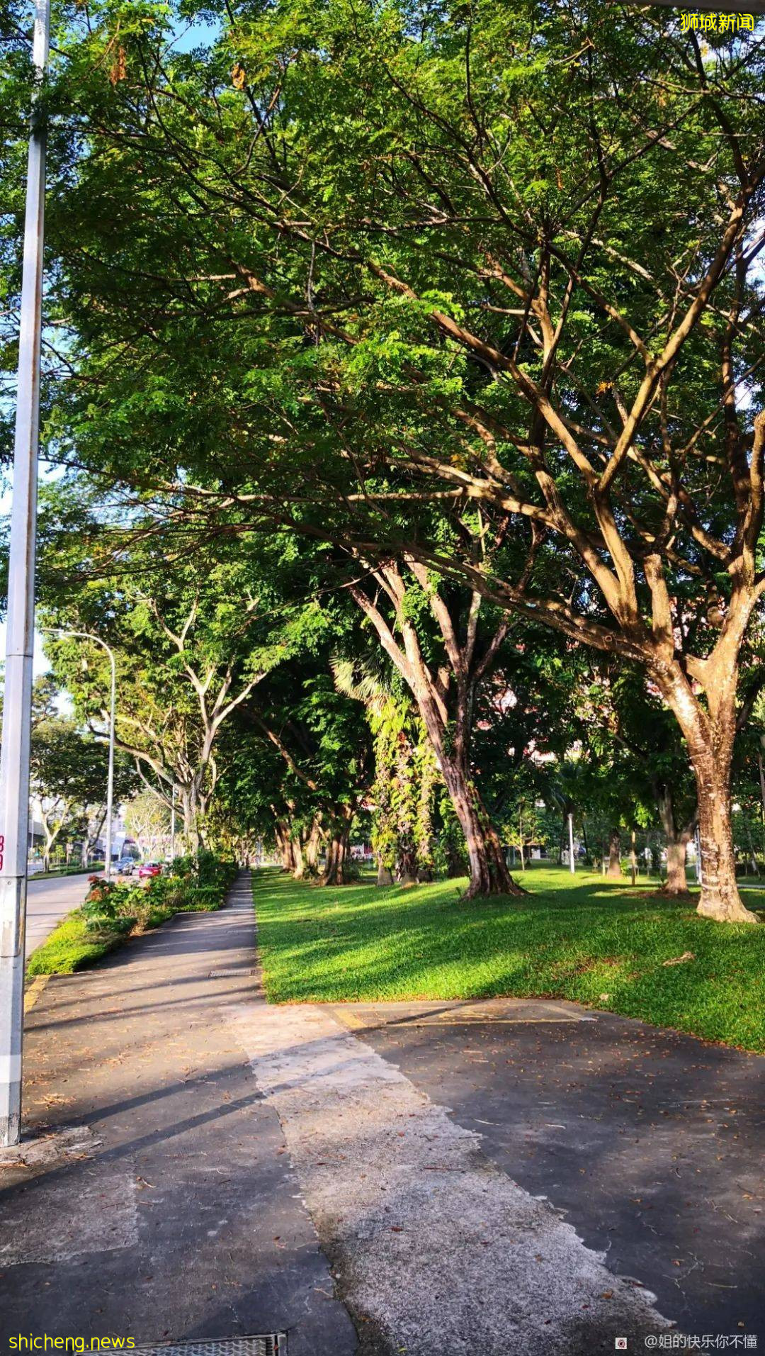 在新加坡成功接种科兴疫苗！附详细流程及体验