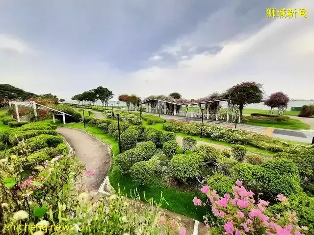 一起出外走走吧!盘点新加坡东海岸必打卡攻略🙌8大景点任你玩,更加接近大自然