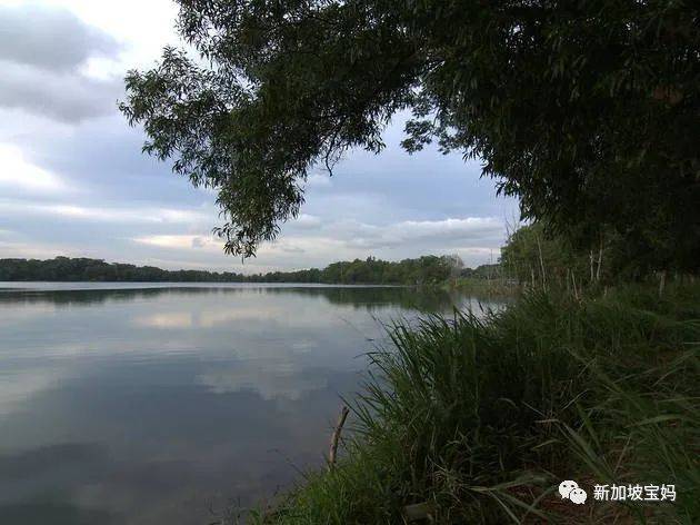 2021新加坡跨年烟火最强观看攻略，大家拿好不谢