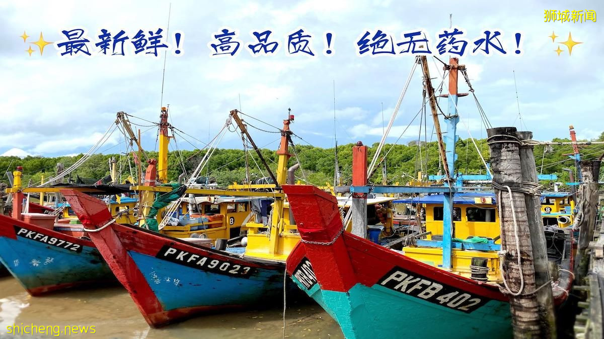 新加坡家族办公室好处多多，主要有哪些方面呢.