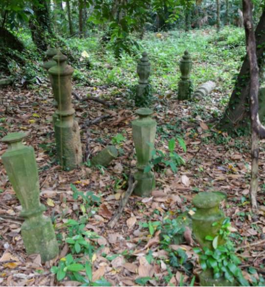 “我的社區”徒步旅行即將重新開啓,讓我們一起再次出發