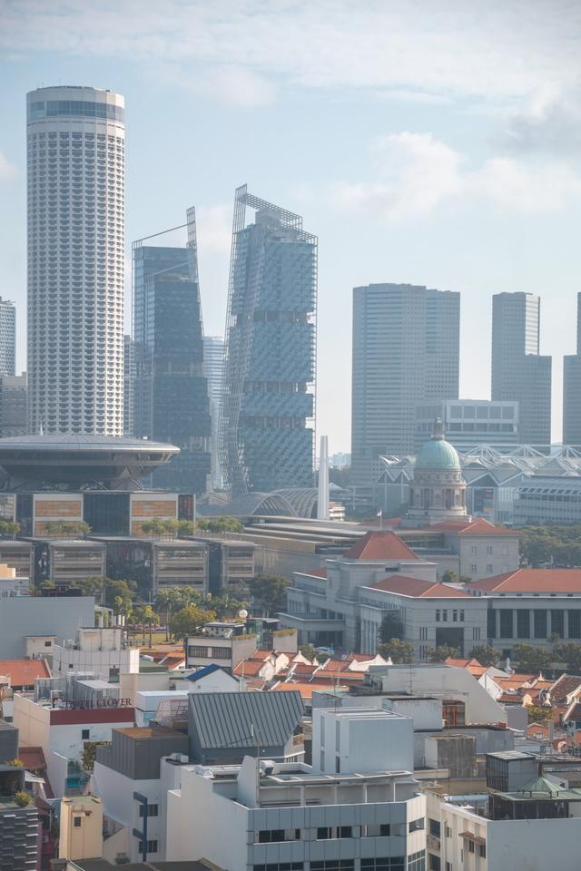 新加坡10天深度自由行，感受世界最嚴法律下的四大種族交融之地3