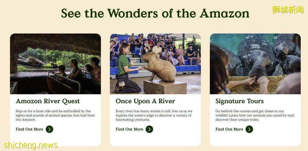 全新MANDAI野生动物园区,一站式游览动物园、鸟园、夜间动物园