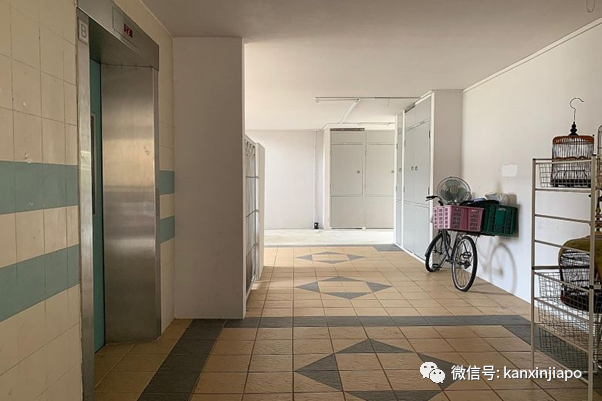 “他问我们杀掉他老婆要多少钱，有人告诉他：100块”《狮城重案录》之雇凶杀妻