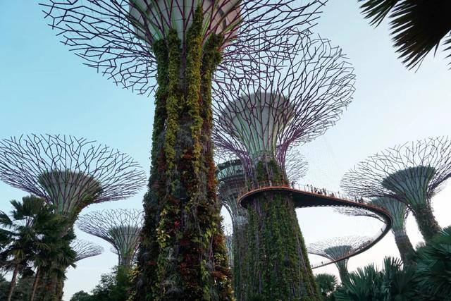 新加坡旅行|6天5晚奇遇狮城的日与夜