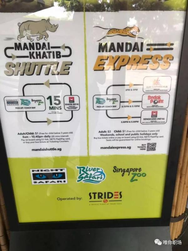 新加坡六日亲子游D3