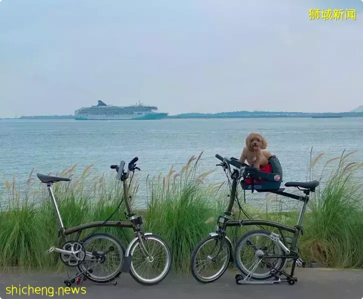 新开的樟宜湾PCN看起来就像韩国济州岛