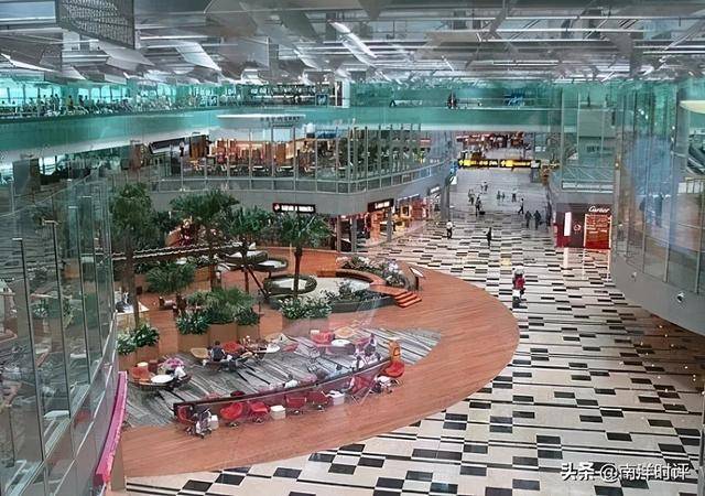 唐晓岚:论为什么在新加坡一定要拍死蟑螂