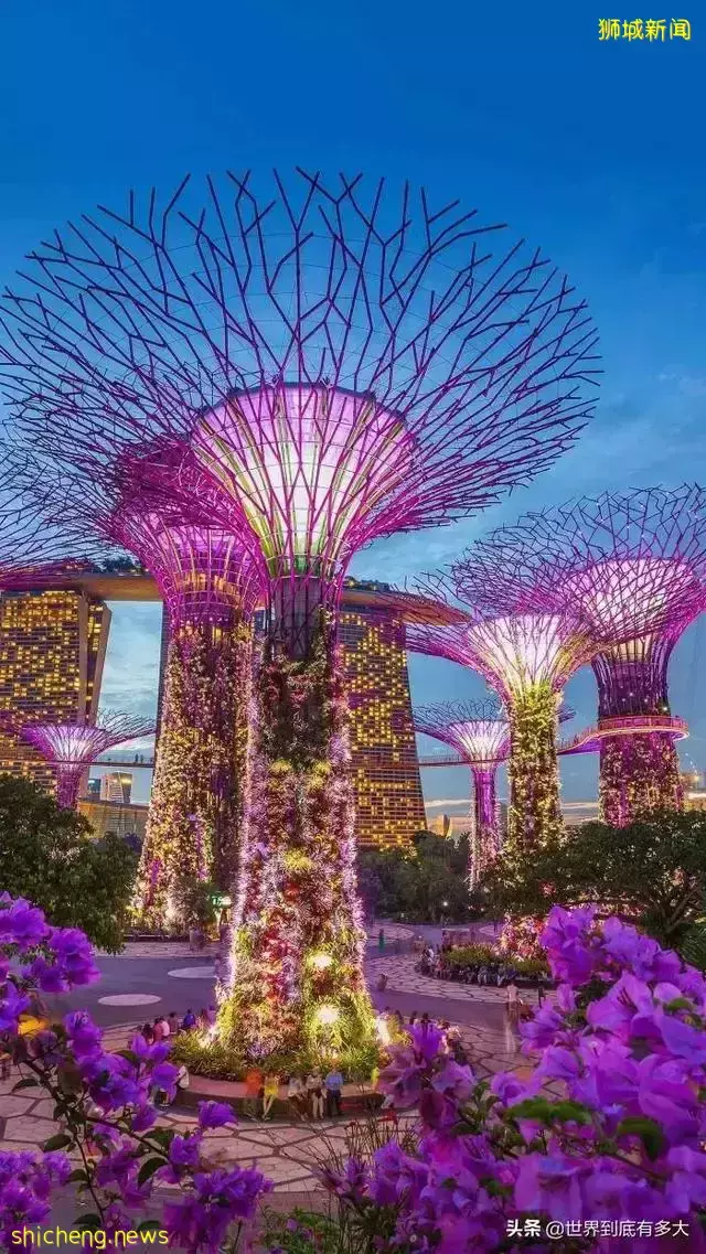 45张照片,带你见识新加坡,不为人知的另一面