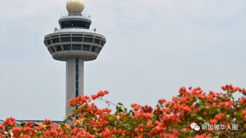 新加坡增14例!多國疫情急劇惡化!超市又被瘋搶!再重新“封城”