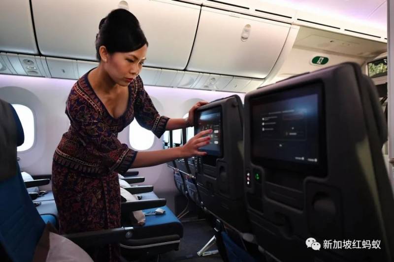 對新航前景憂心忡忡　網友紛紛出謀獻策：機上相親、機艙主題樂園