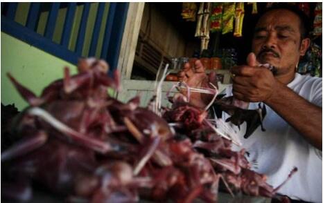 新加坡隐瞒确诊信息？网红打卡地标现确诊病例