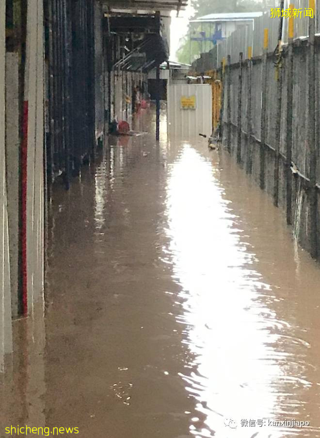 新加坡狂下豪雨,多处变汪洋,瞬间“入冬”