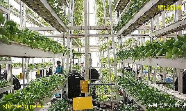 “新加坡”现状，带你看看一个真实的新加坡 