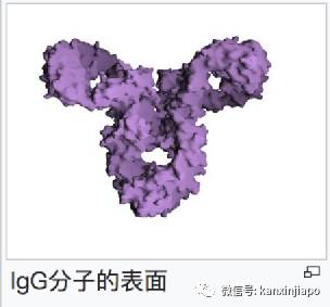 飞中国前必看!在新加坡接种辉瑞和莫德纳疫苗的人注意了