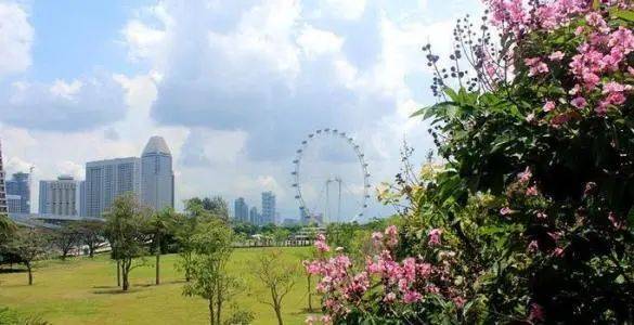 新加坡旅遊業解放，旅遊團限制人數增加到原先2.5倍，再無時間約束