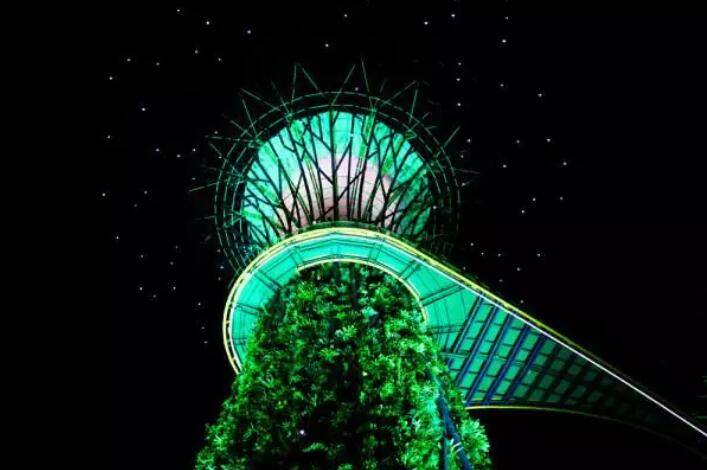 新加坡版“潘多拉星球”再亮燈，阿凡達回來了