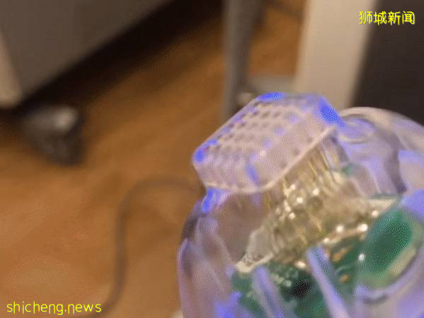 新加坡童年女神隐婚10年，41岁嫁富豪老公，50岁美成了天仙