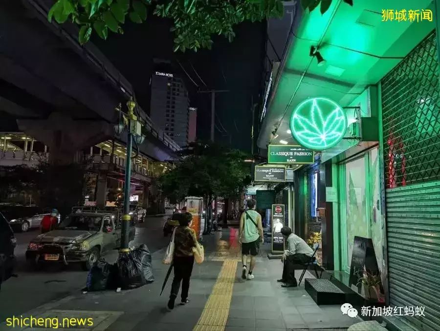 泰國推廣大麻用途　新加坡人可看不可試，以免樂極生悲