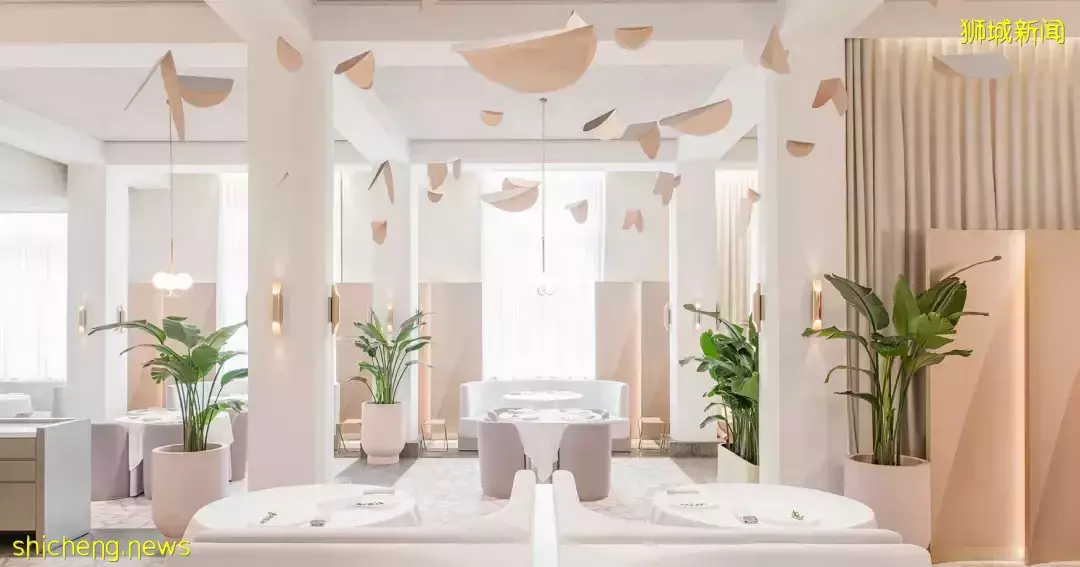 新加坡米其林公布，油鸡饭“摘星”！印尼鸡肉马上到，至少1000吨