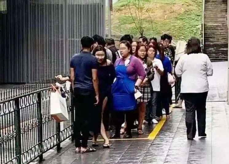 为什么建议幼儿园阶段留学新加坡(上)