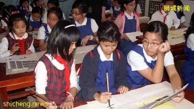 新加坡中学择校指南都在这,更不要错过IP直通车计划、中学直接招生计划DSA