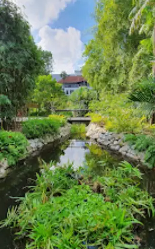 本周日！親子DIY盆栽、打卡越南網紅餐廳、了解新加坡曆史，搶位中