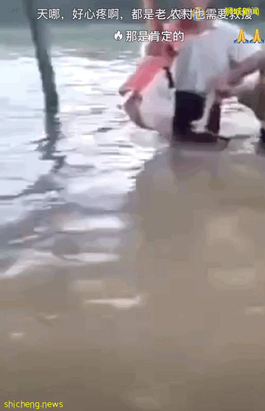 新加坡如果遇上“鄭州暴雨”,你認爲能挺的過去嗎