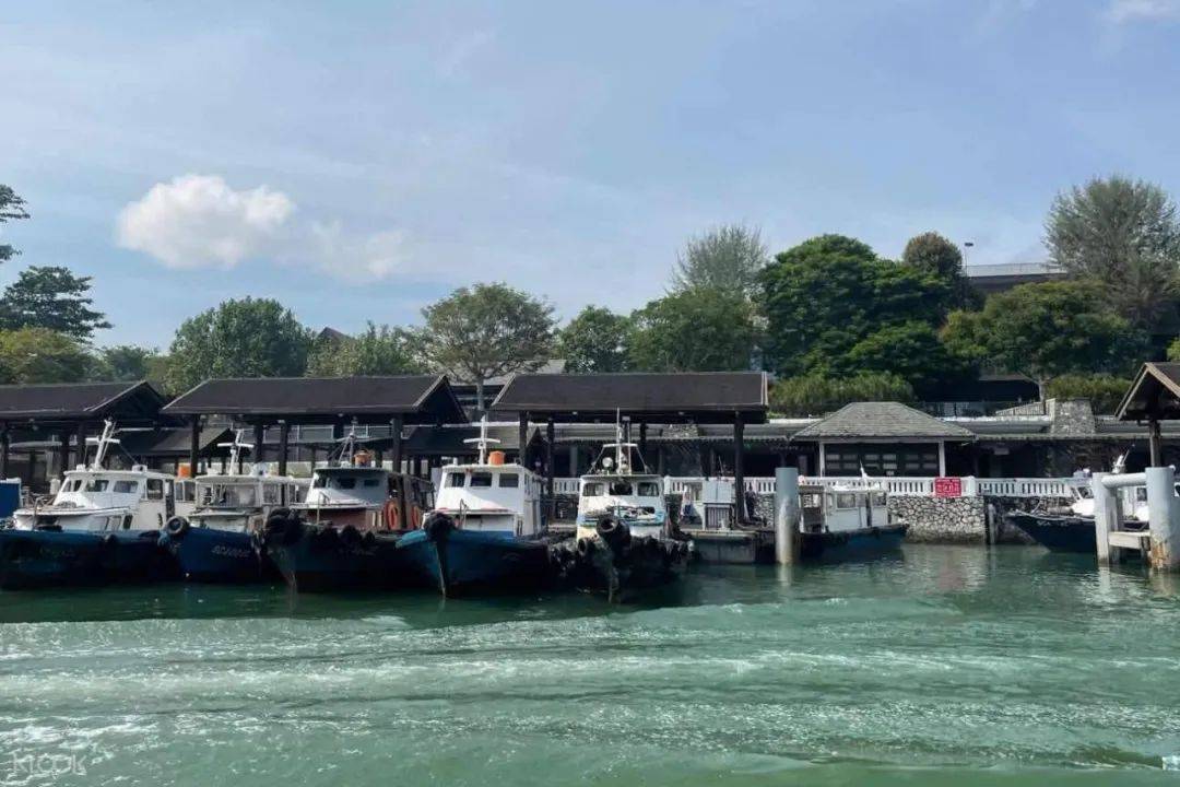 新加坡80%人還沒用旅遊消費券，6月30日到期！推薦這20個活動