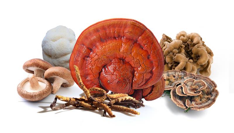 疫情期間提高人體免疫力好物大推薦！在新加坡超受認可，各大百貨有售！買給自己，送父母都是極好哒