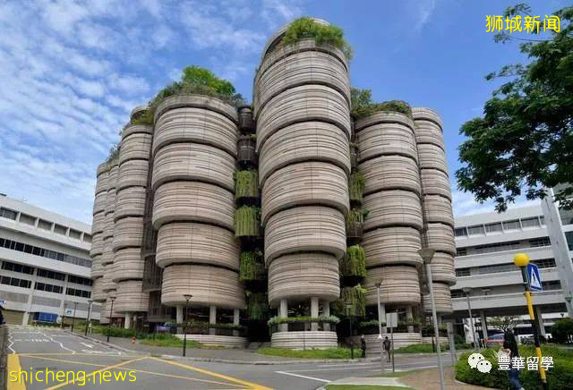 谁有资格在新加坡留学?(下)